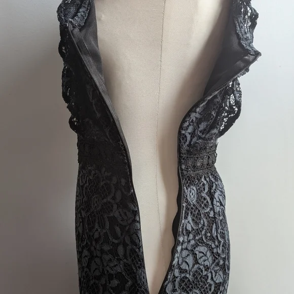 EUC...Beautiful Zara Guipure Lace Dress (with whimsy/goth vibes)  Size Small - Picture 11 of 13